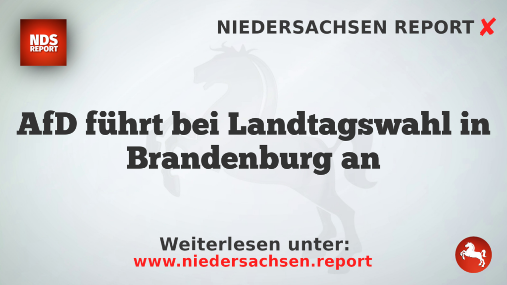 AfD führt bei Landtagswahl in Brandenburg an