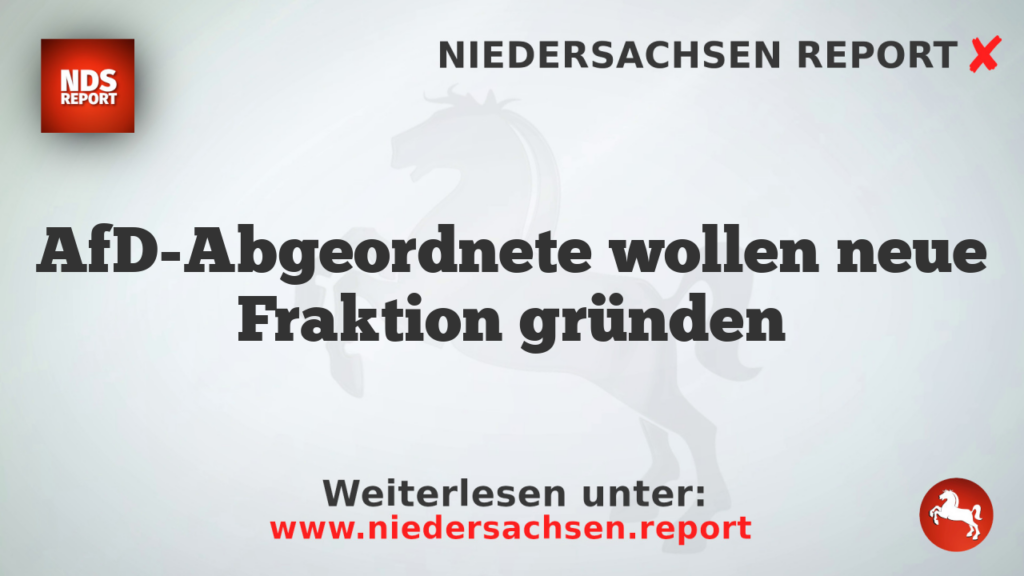 AfD-Abgeordnete wollen neue Fraktion gründen