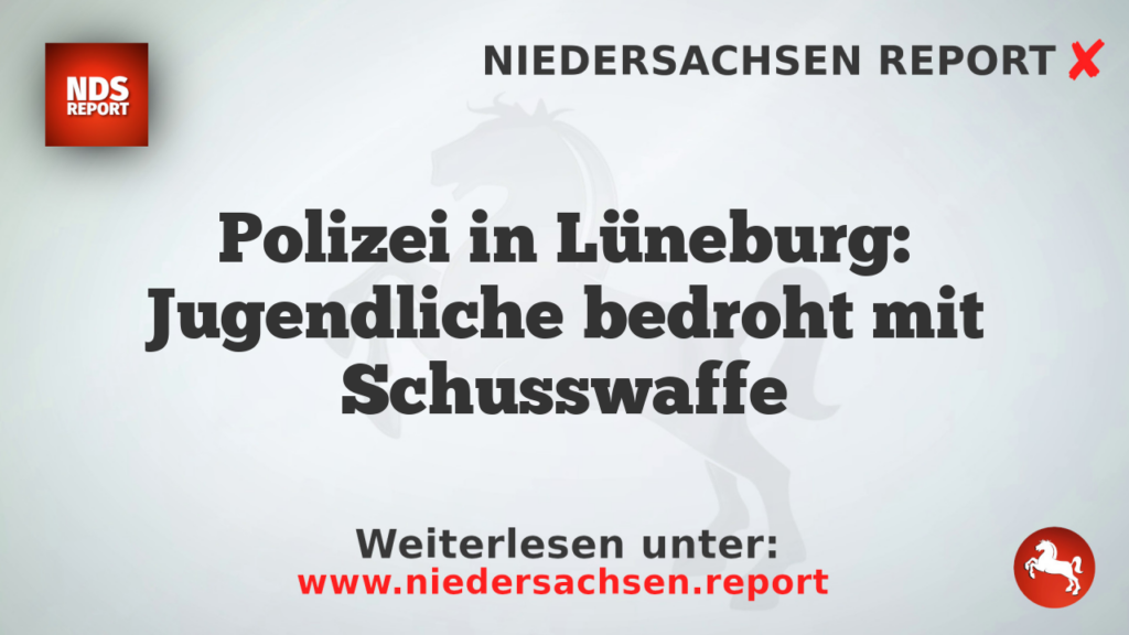 Polizei in Lüneburg: Jugendliche bedroht mit Schusswaffe