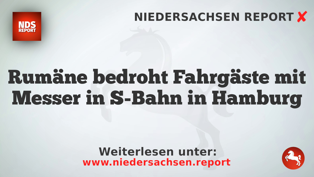 Rumäne bedroht Fahrgäste mit Messer in S-Bahn in Hamburg