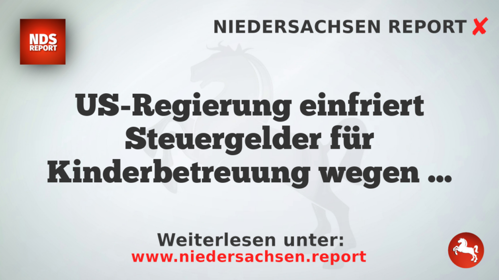 US-Regierung einfriert Steuergelder für Kinderbetreuung wegen Betrugsskandal