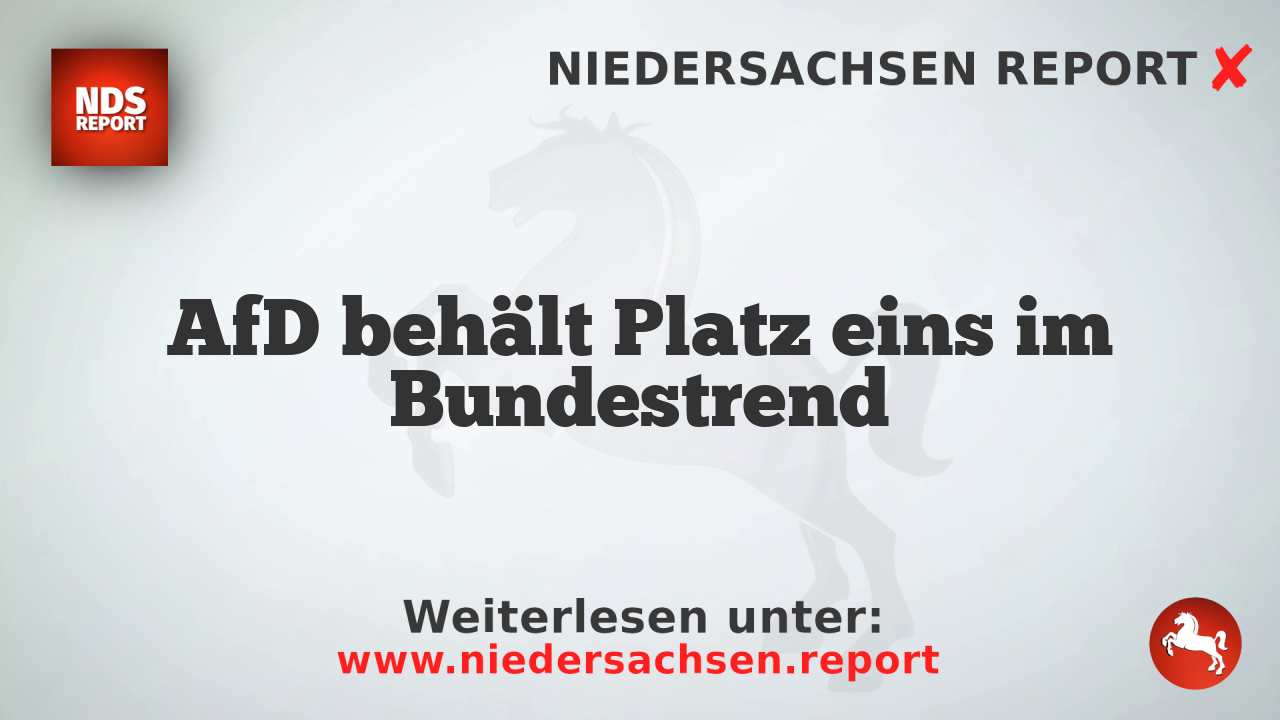 AfD behält Platz eins im Bundestrend