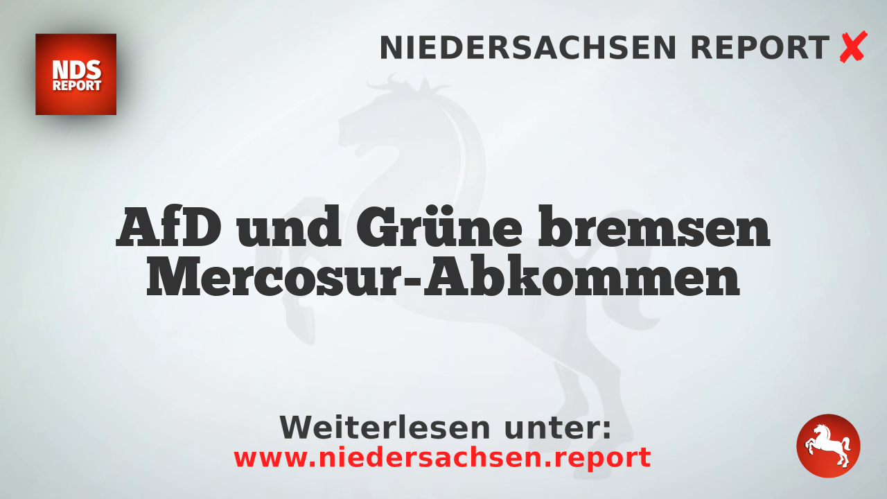 AfD und Grüne bremsen Mercosur-Abkommen