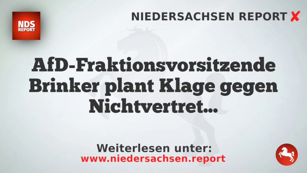 AfD-Fraktionsvorsitzende Brinker plant Klage gegen Nichtvertretung im Untersuchungsausschuss
