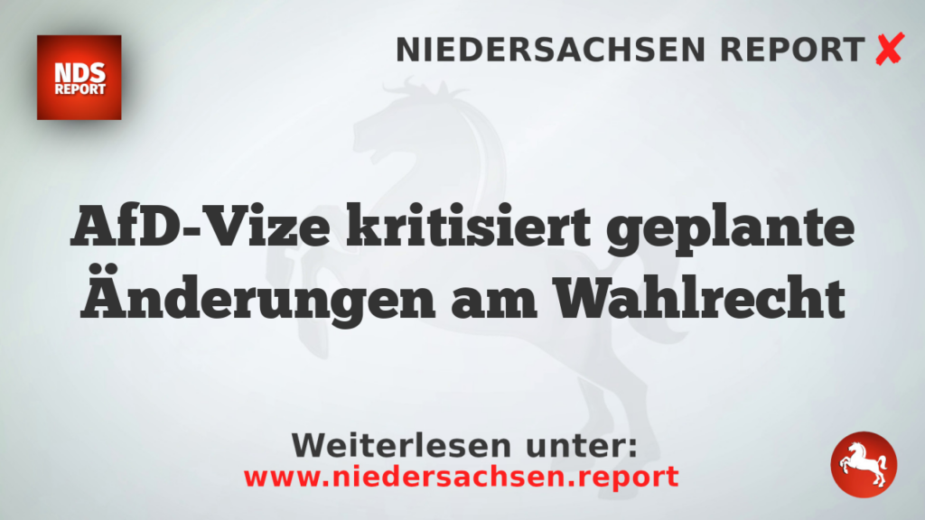 AfD-Vize kritisiert geplante Änderungen am Wahlrecht