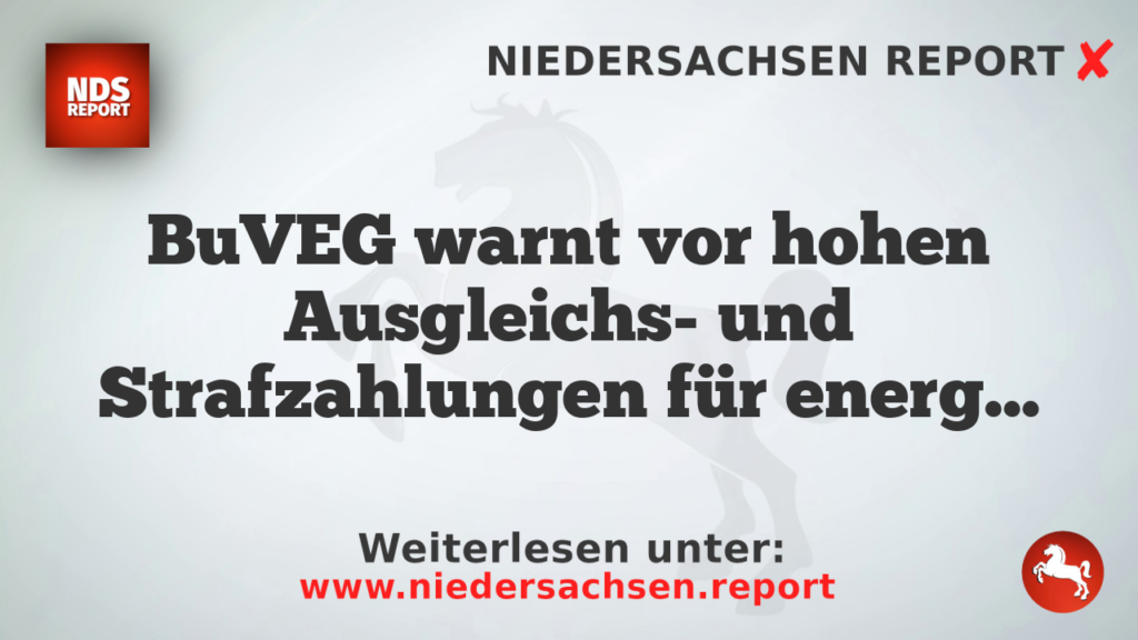 BuVEG warnt vor hohen Ausgleichs- und Strafzahlungen für energetisch schlechte Gebäude