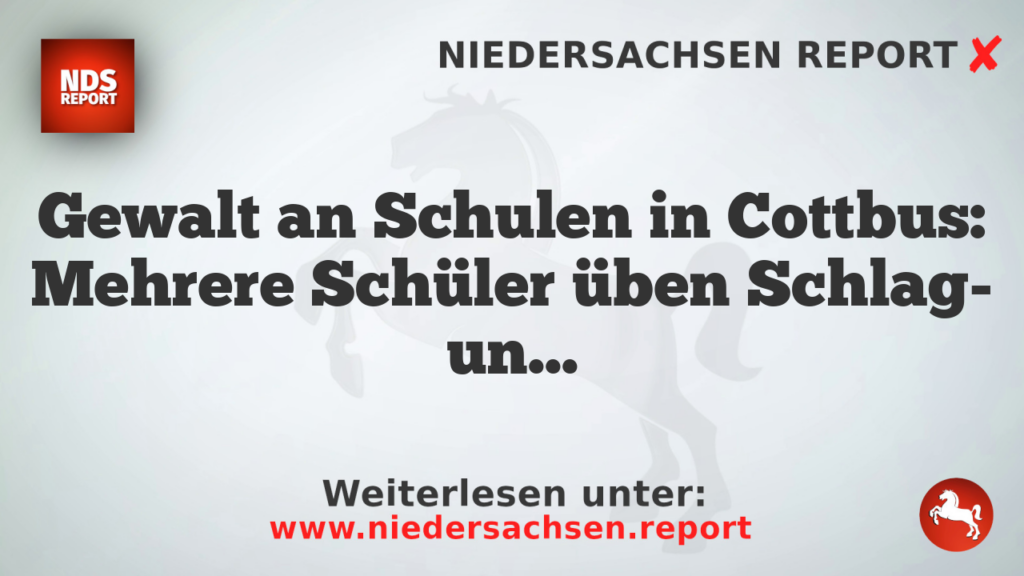 Gewalt an Schulen in Cottbus: Mehrere Schüler üben Schlag- und Trefferkunst