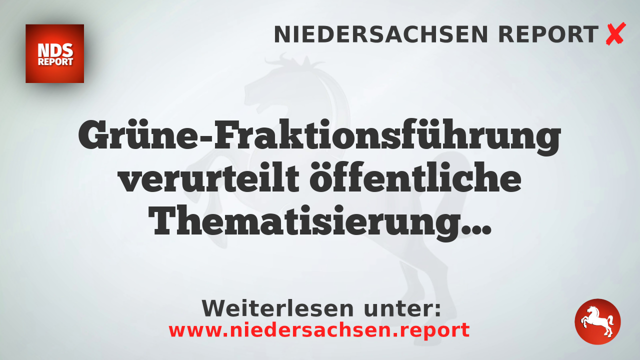 Grüne-Fraktionsführung verurteilt öffentliche Thematisierung des Stromanschlags