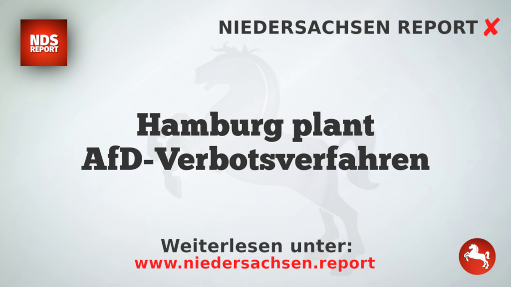 Hamburg plant AfD-Verbotsverfahren