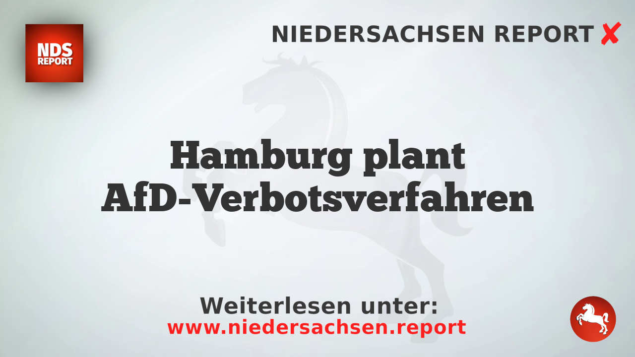 Hamburg plant AfD-Verbotsverfahren