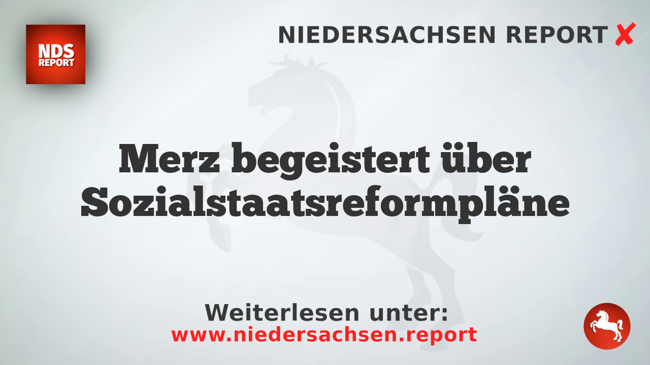 Merz begeistert über Sozialstaatsreformpläne