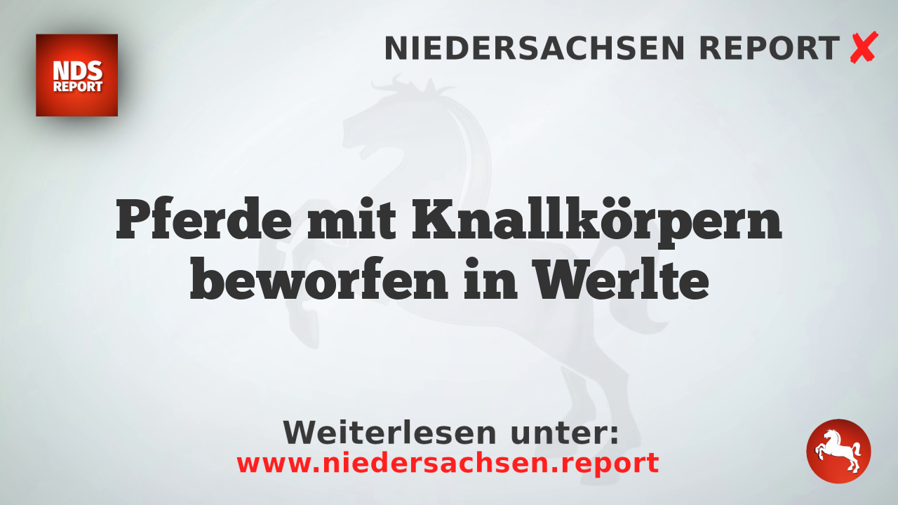 Pferde mit Knallkörpern beworfen in Werlte