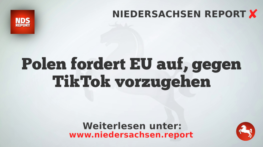 Polen fordert EU auf, gegen TikTok vorzugehen