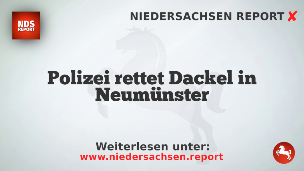 Polizei rettet Dackel in Neumünster