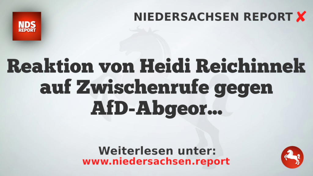 Reaktion von Heidi Reichinnek auf Zwischenrufe gegen AfD-Abgeordnete