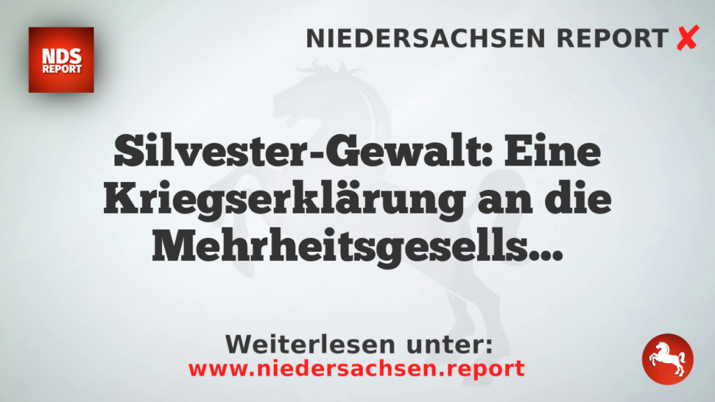 Silvester-Gewalt: Eine Kriegserklärung an die Mehrheitsgesellschaft?