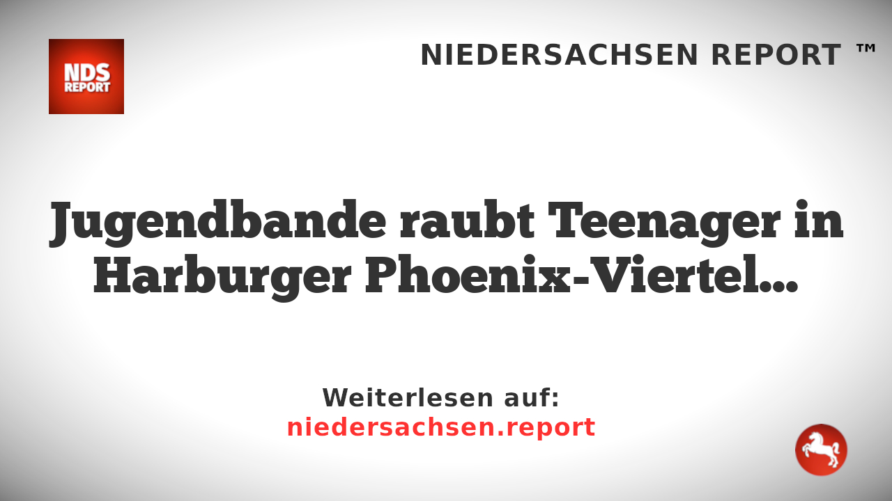 Jugendbande raubt Teenager in Harburger Phoenix-Viertel aus