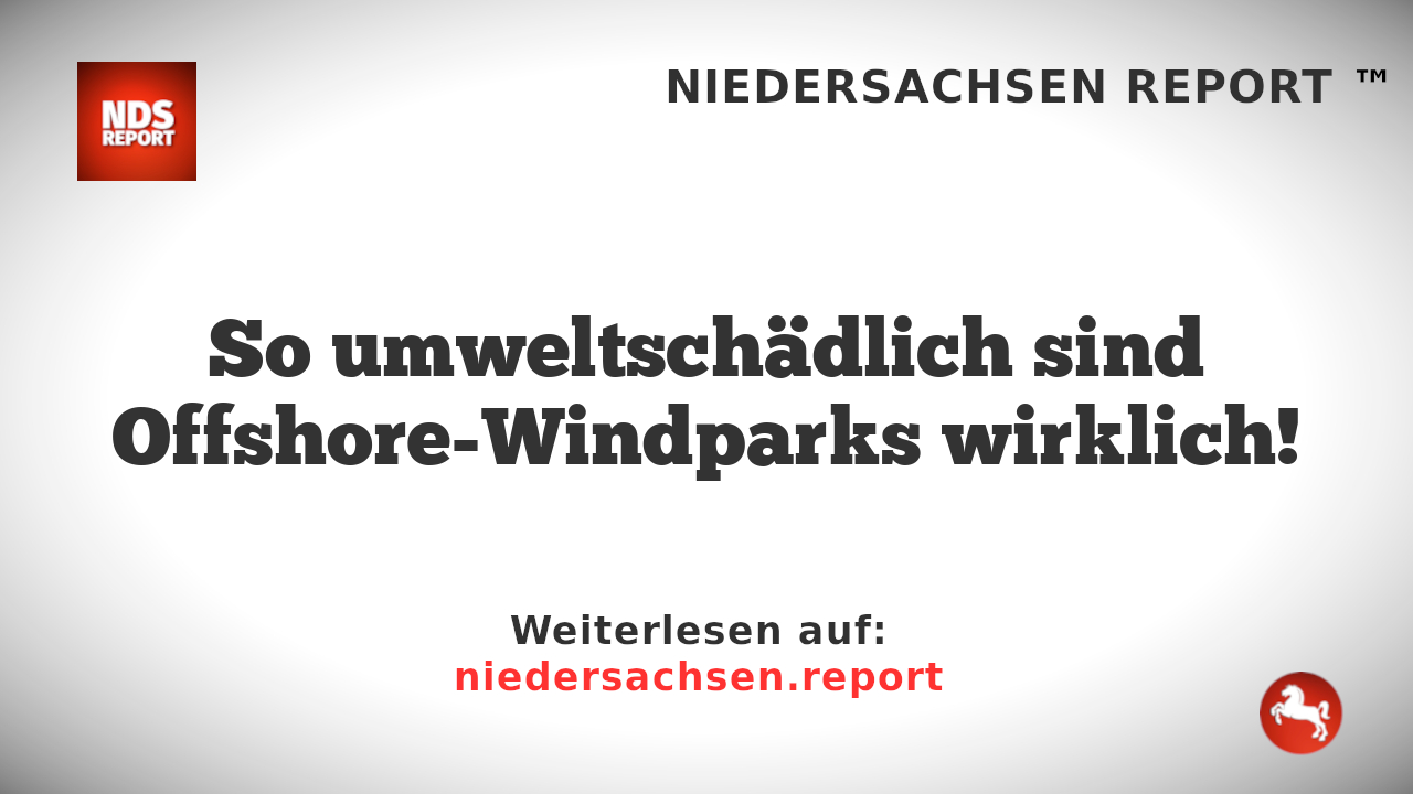 So umweltschädlich sind Offshore-Windparks wirklich!