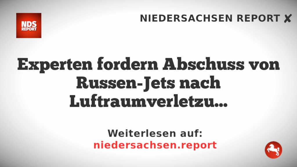 Experten fordern Abschuss von Russen-Jets nach Luftraumverletzungen