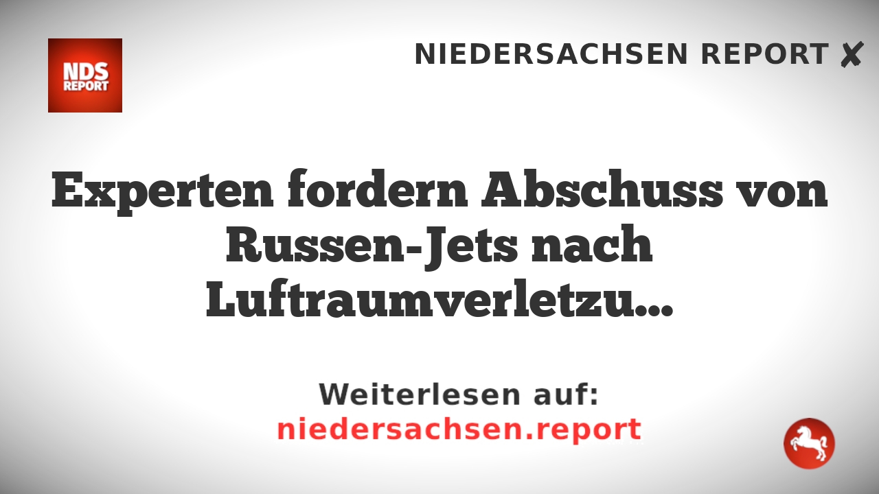 Experten fordern Abschuss von Russen-Jets nach Luftraumverletzungen