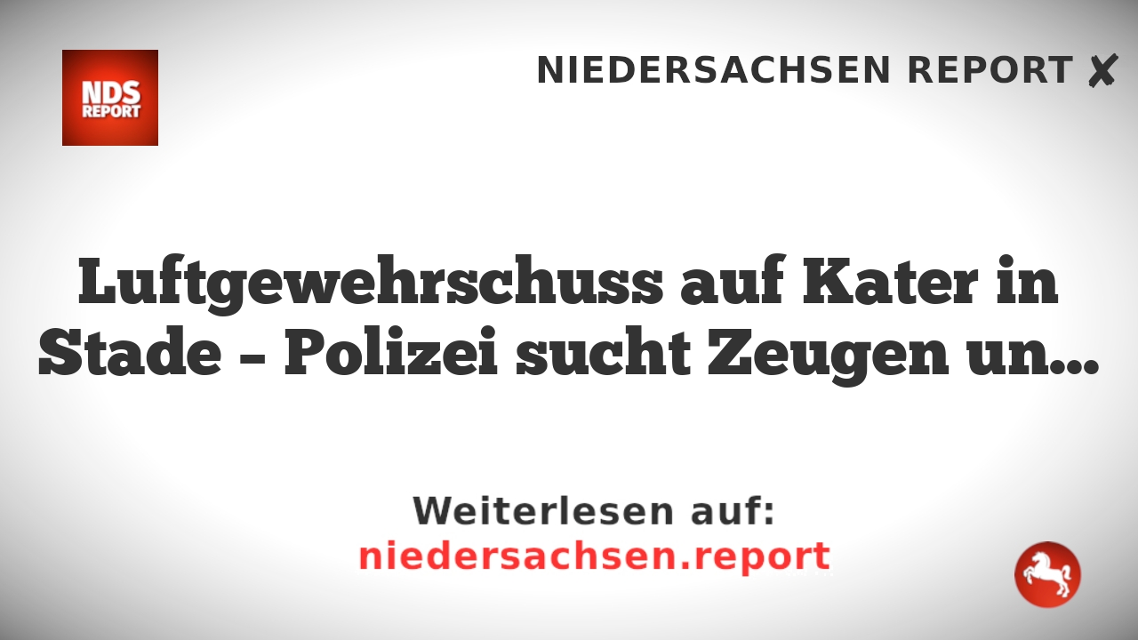 Luftgewehrschuss auf Kater in Stade – Polizei sucht Zeugen und klärt weitere Verbrechen auf
