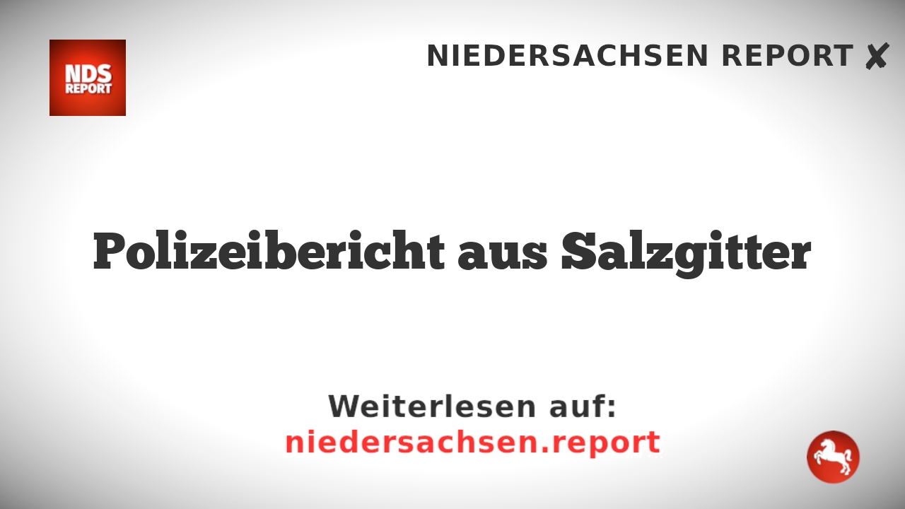 Polizeibericht aus Salzgitter