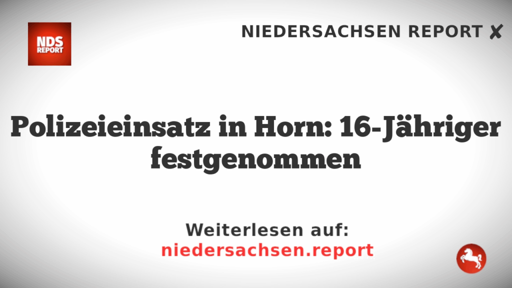 Polizeieinsatz in Horn: 16-Jähriger festgenommen