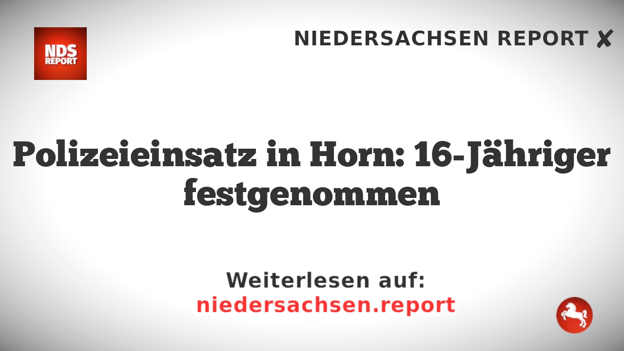 Polizeieinsatz in Horn: 16-Jähriger festgenommen