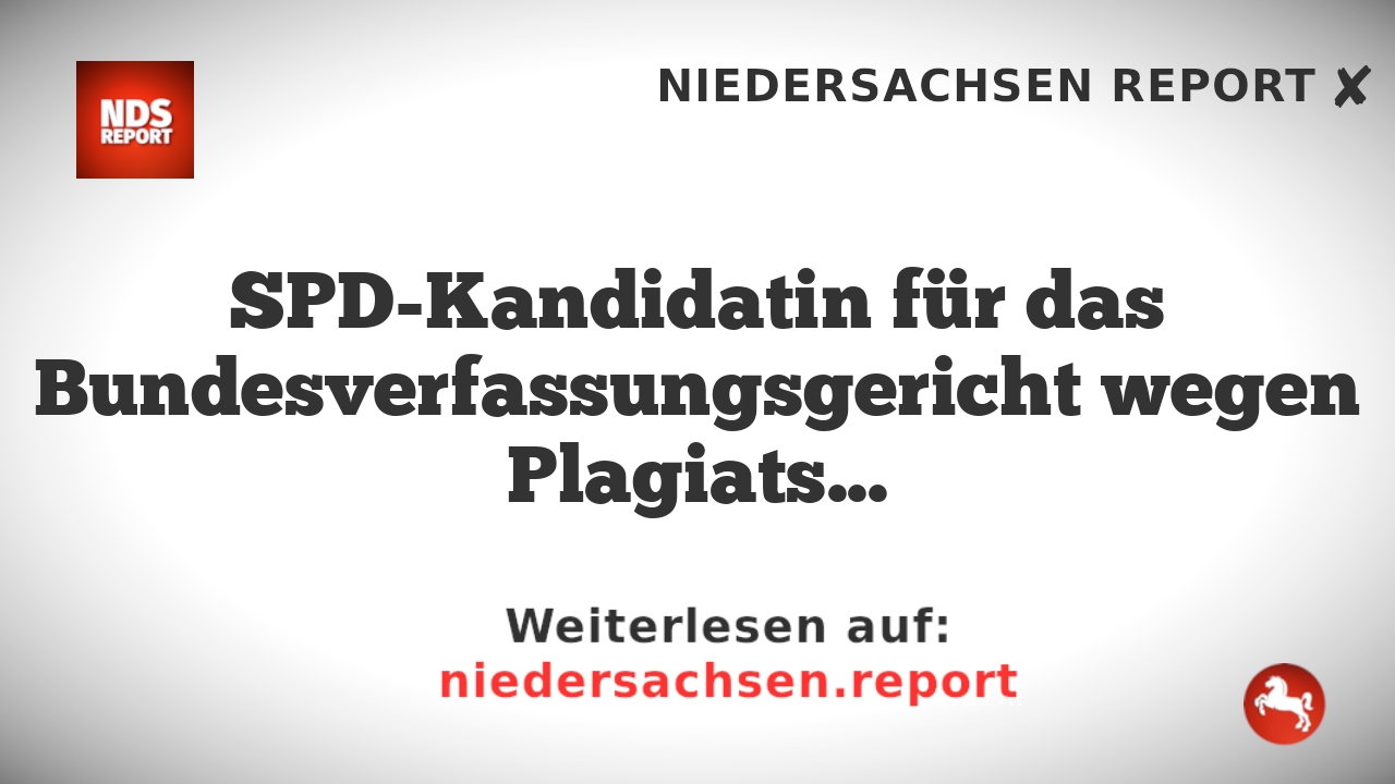 SPD-Kandidatin für das Bundesverfassungsgericht wegen Plagiatsvorwürfen kritisiert