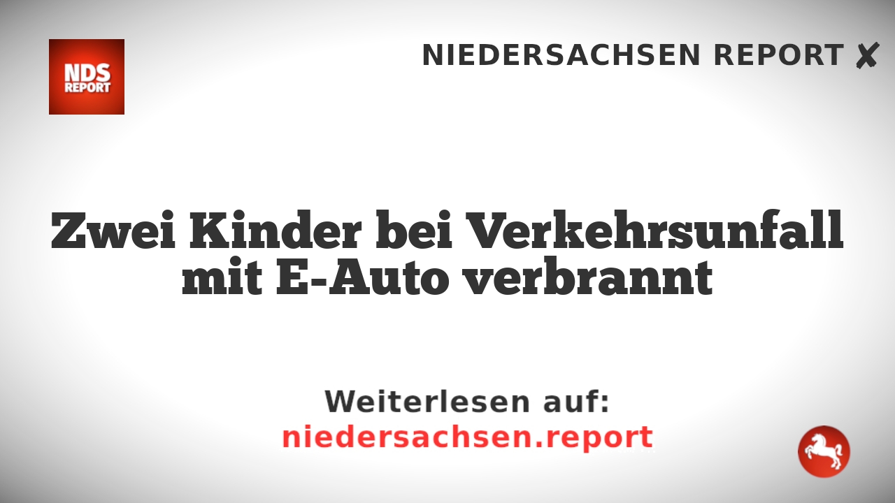 Zwei Kinder bei Verkehrsunfall mit E-Auto verbrannt