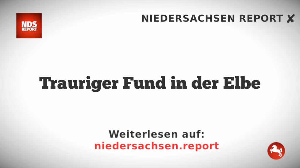 Trauriger Fund in der Elbe