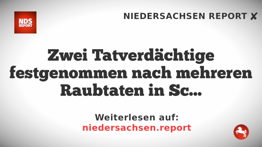 Zwei Tatverdächtige festgenommen nach mehreren Raubtaten in Schleswig/Tarp
