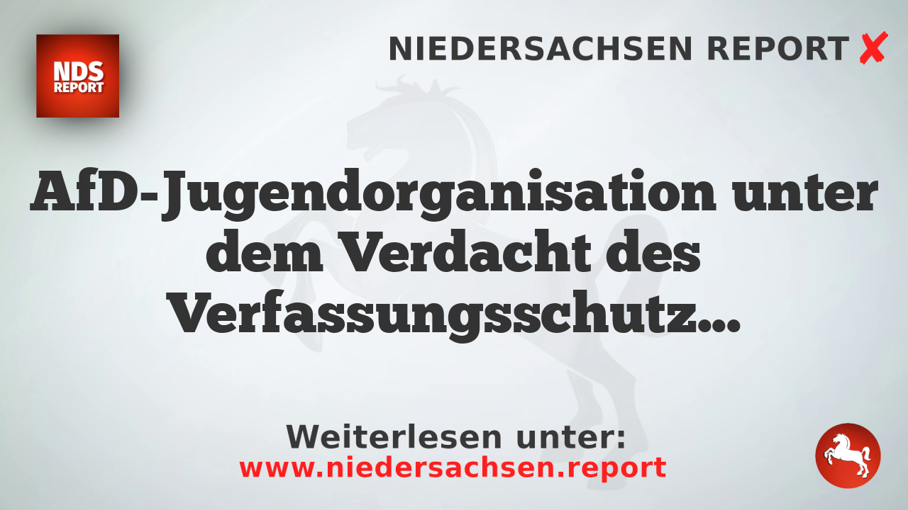 AfD-Jugendorganisation unter dem Verdacht des Verfassungsschutzes