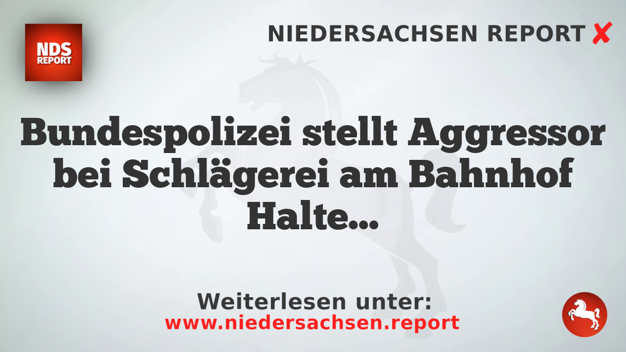 Bundespolizei stellt Aggressor bei Schlägerei am Bahnhof Haltern am See