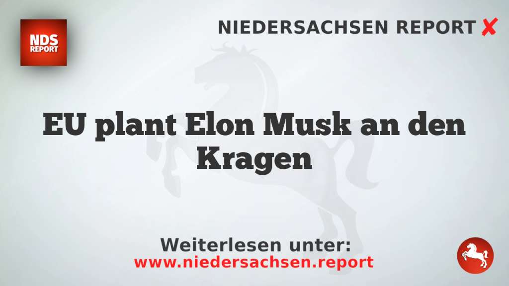 EU plant Elon Musk an den Kragen
