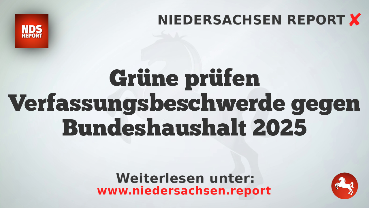 Grüne prüfen Verfassungsbeschwerde gegen Bundeshaushalt 2025