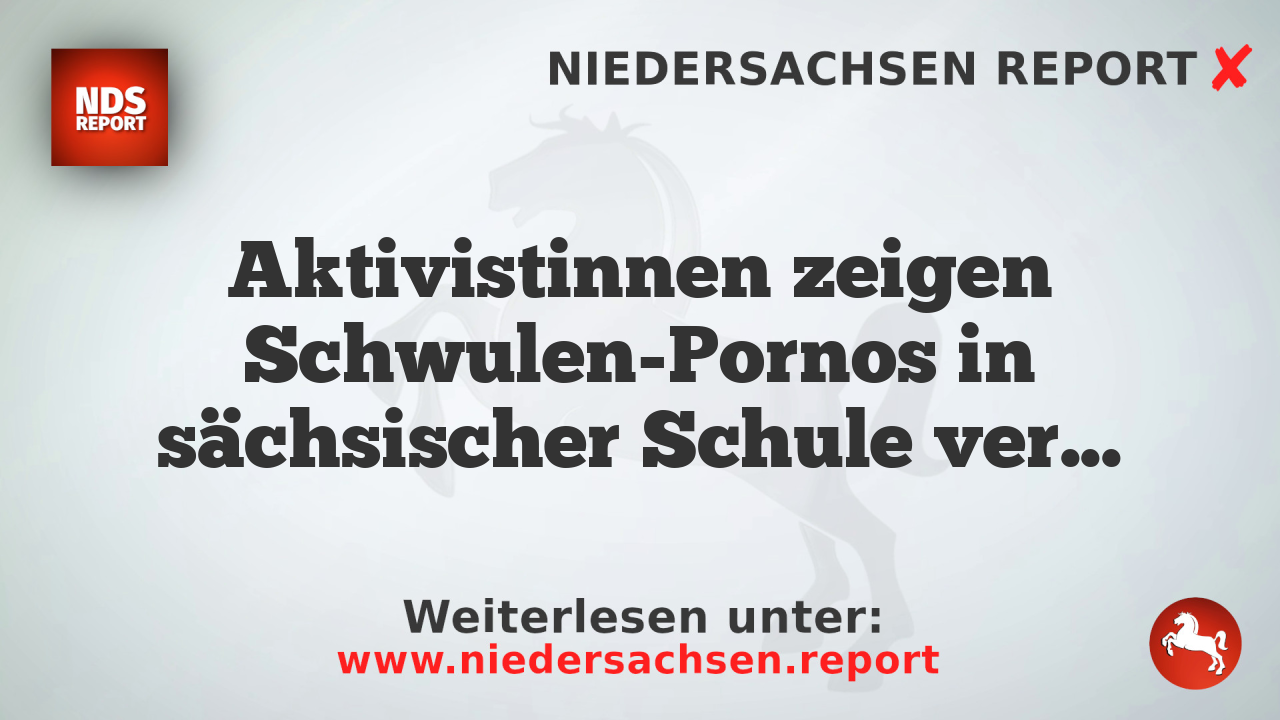 Aktivistinnen zeigen Schwulen-Pornos in sächsischer Schule versehentlich