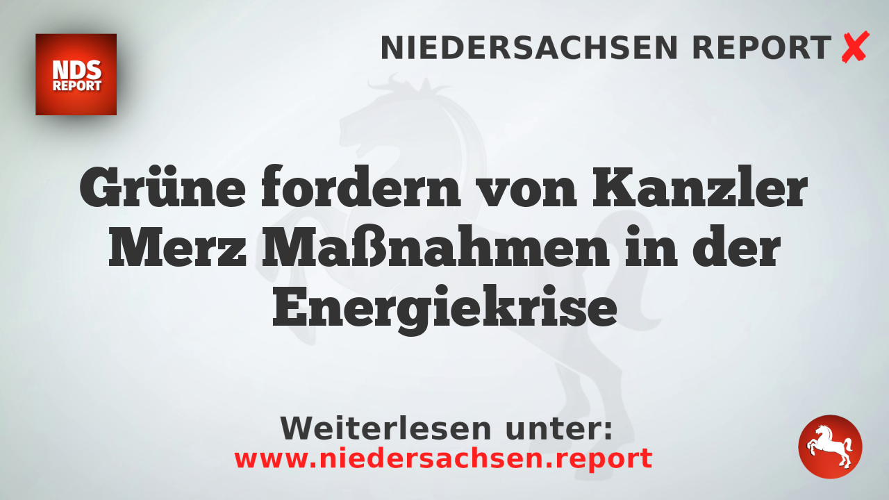 Grüne fordern von Kanzler Merz Maßnahmen in der Energiekrise