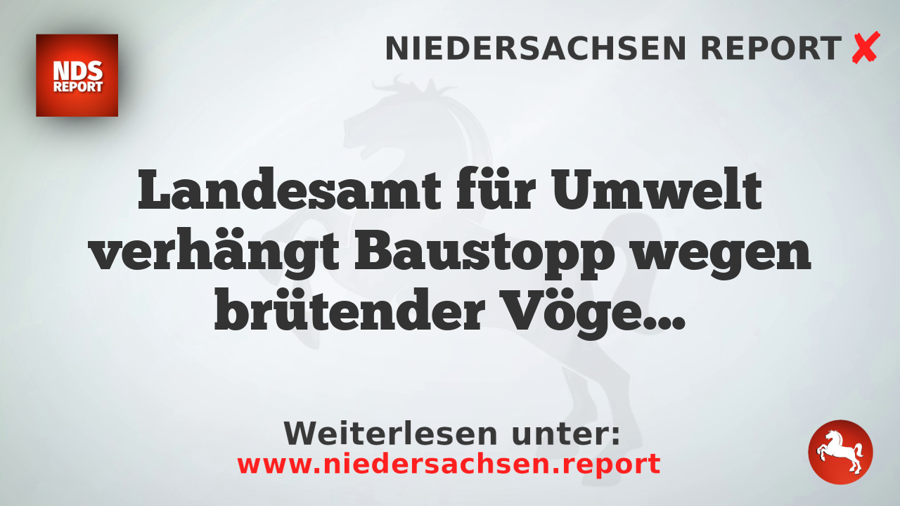 Landesamt für Umwelt verhängt Baustopp wegen brütender Vögel bei Windkraftanlagen in Angermünde