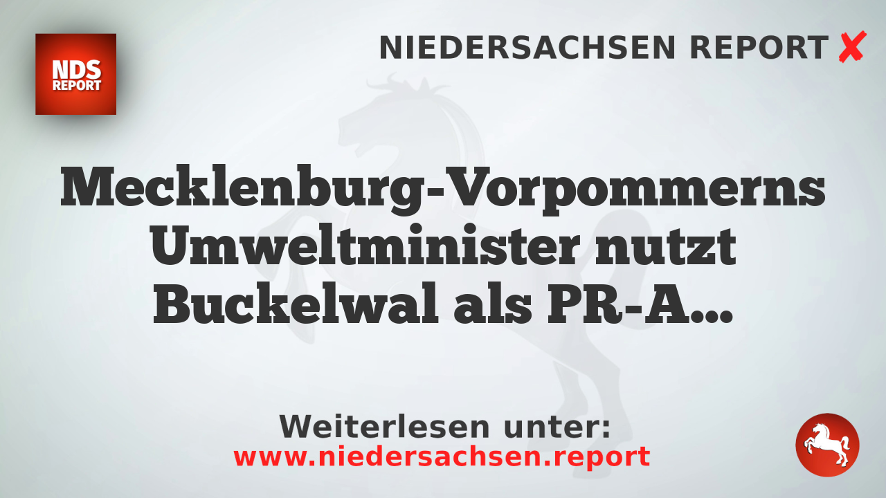 Mecklenburg-Vorpommerns Umweltminister nutzt Buckelwal als PR-Aktion