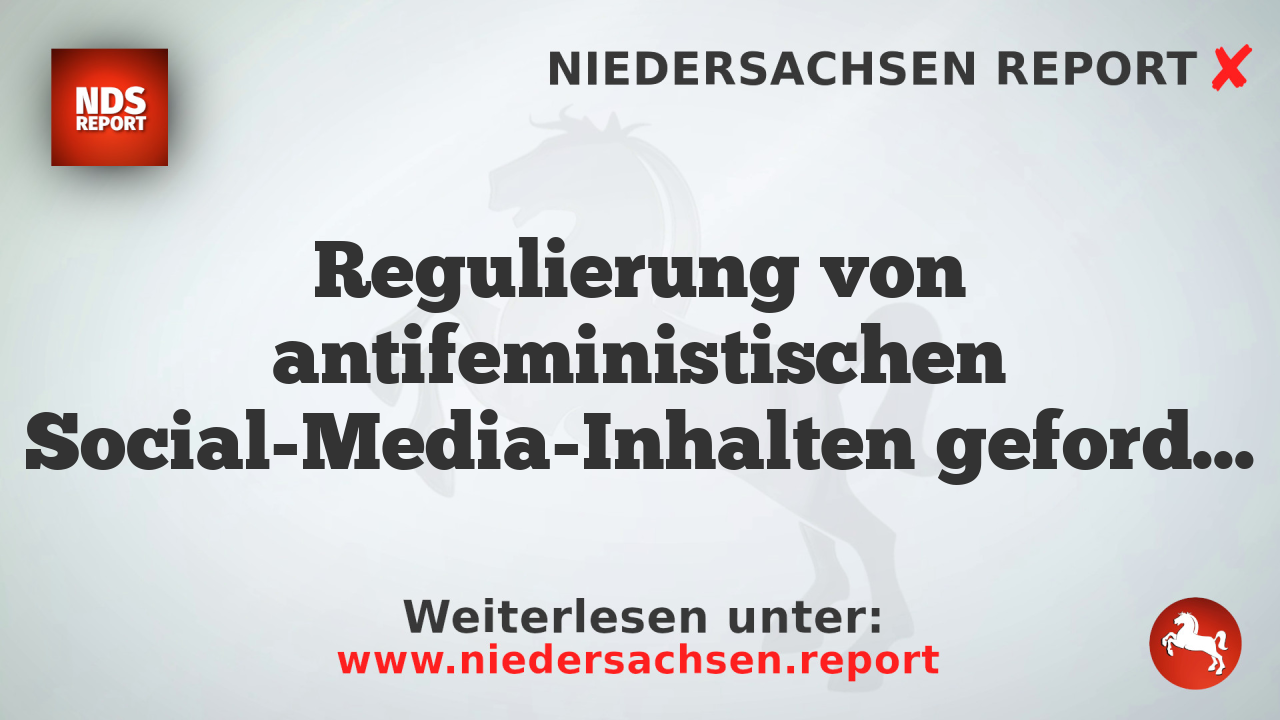 Regulierung von antifeministischen Social-Media-Inhalten gefordert