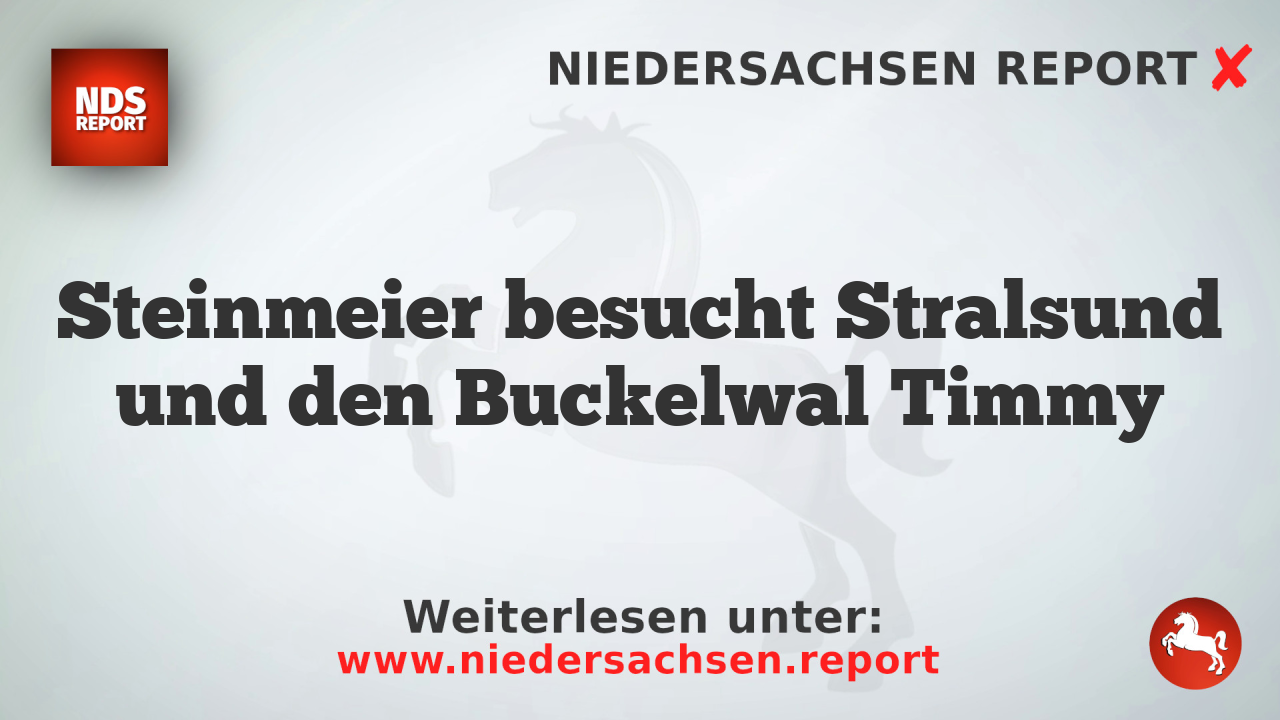 Steinmeier besucht Stralsund und den Buckelwal Timmy