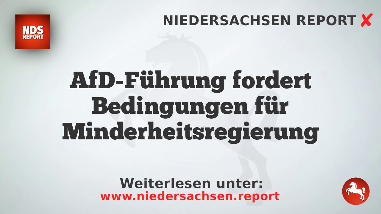 AfD-Führung fordert Bedingungen für Minderheitsregierung
