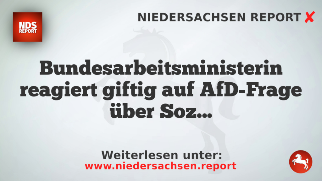 Bundesarbeitsministerin reagiert giftig auf AfD-Frage über Sozialsysteme