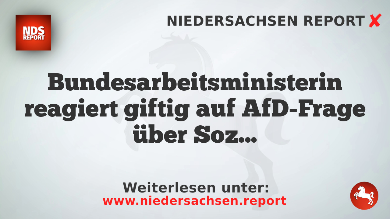 Bundesarbeitsministerin reagiert giftig auf AfD-Frage über Sozialsysteme