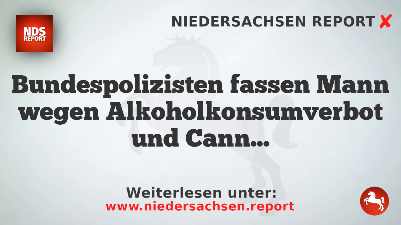Bundespolizisten fassen Mann wegen Alkoholkonsumverbot und Cannabisbesitz im Hamburger Hauptbahnhof