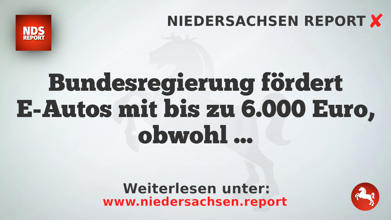 Bundesregierung fördert E-Autos mit bis zu 6.000 Euro, obwohl Marktwirtschaftskritiker Skepsis zeigen