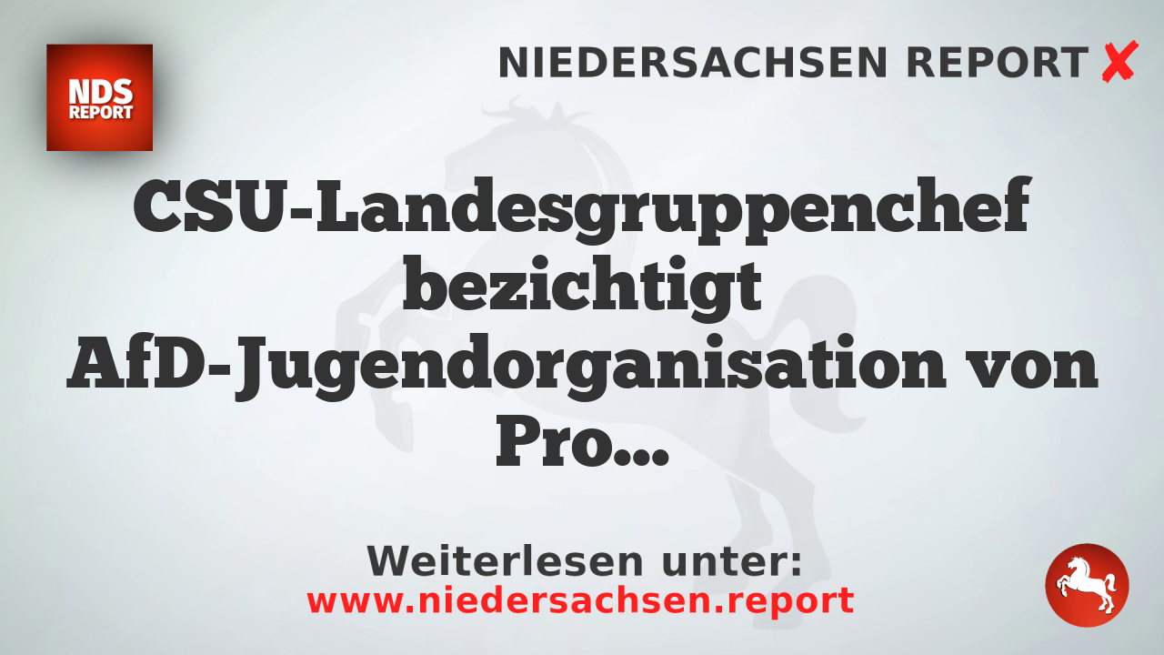 CSU-Landesgruppenchef bezichtigt AfD-Jugendorganisation von Provokation bei Gründungsveranstaltung