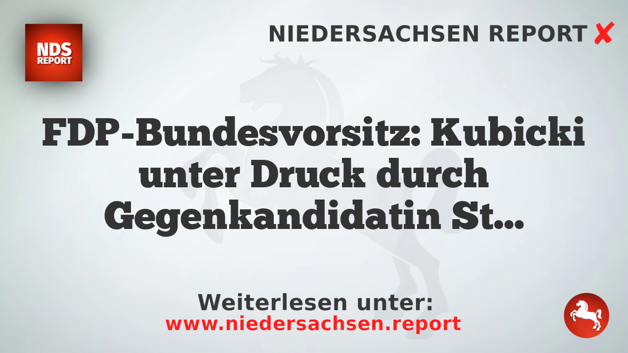 FDP-Bundesvorsitz: Kubicki unter Druck durch Gegenkandidatin Strack-Zimmermann
