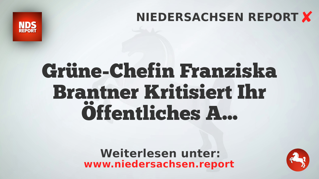 Grüne-Chefin Franziska Brantner Kritisiert Ihr Öffentliches Ansehen und Die Rolle von Charisma in der Politik